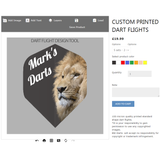 Bargain Darts Gift Set - with Custom Logo/Photo flights